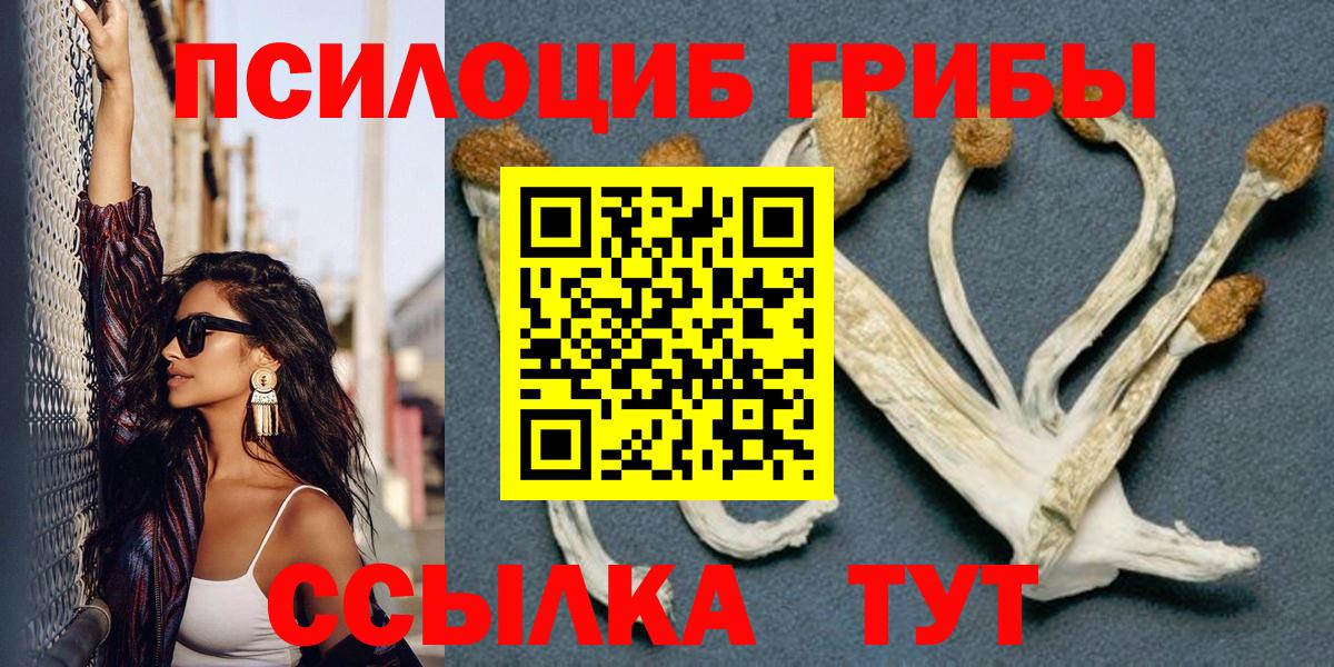 Псилоцибиновые грибы Psilocybe  Вход с VPN  Псилоцибиновые грибы прущие грибы  Вятские Поляны 
